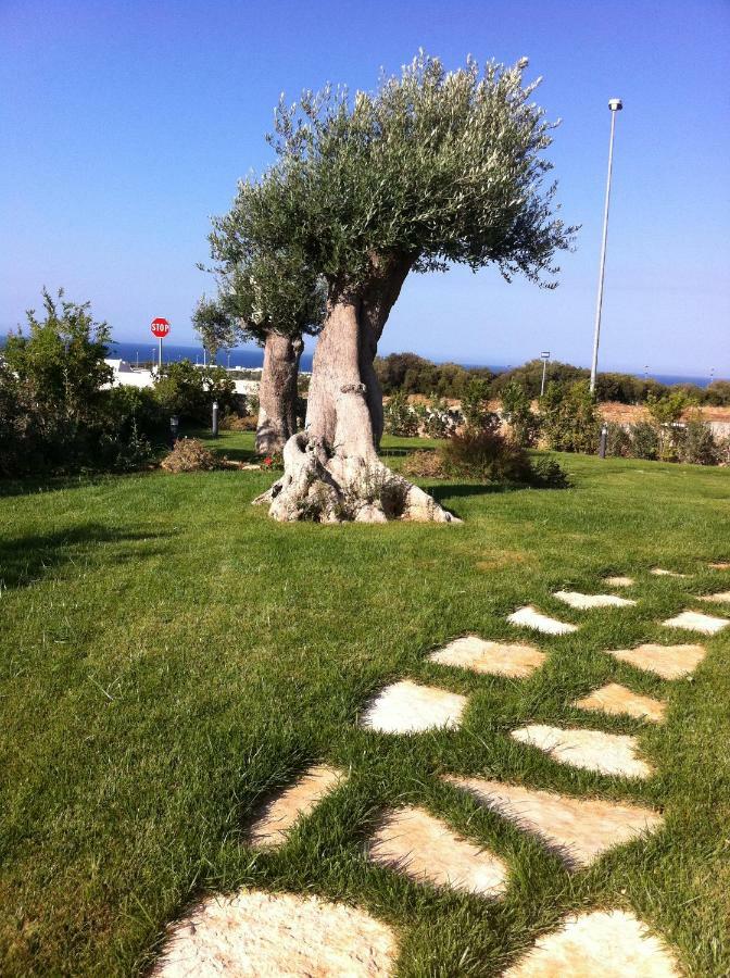 Nel Blu Dipinto Di Blu Βίλα Polignano a Mare Εξωτερικό φωτογραφία