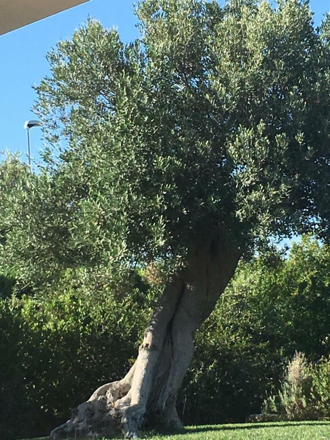 Nel Blu Dipinto Di Blu Βίλα Polignano a Mare Εξωτερικό φωτογραφία