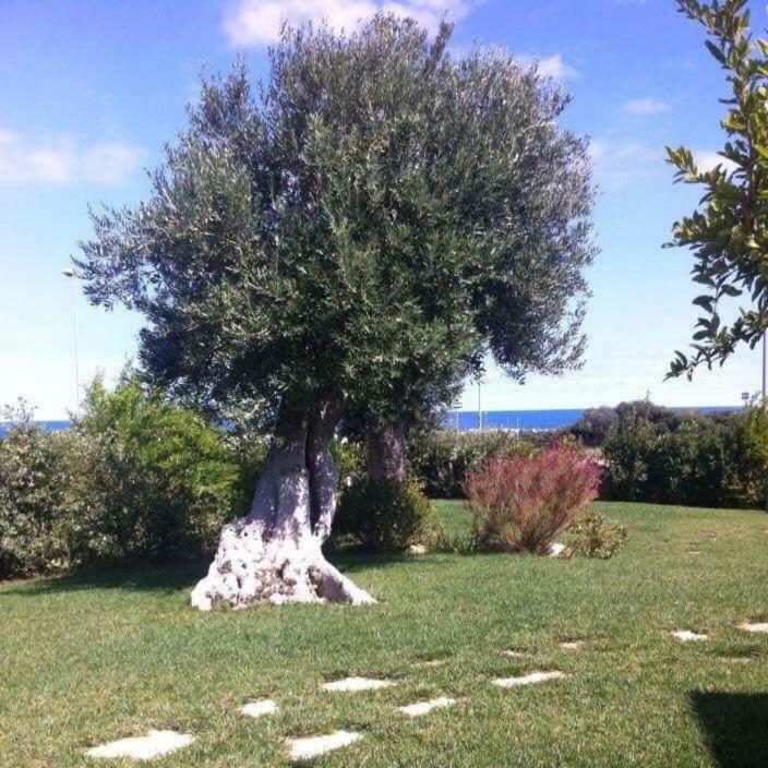 Nel Blu Dipinto Di Blu Βίλα Polignano a Mare Εξωτερικό φωτογραφία